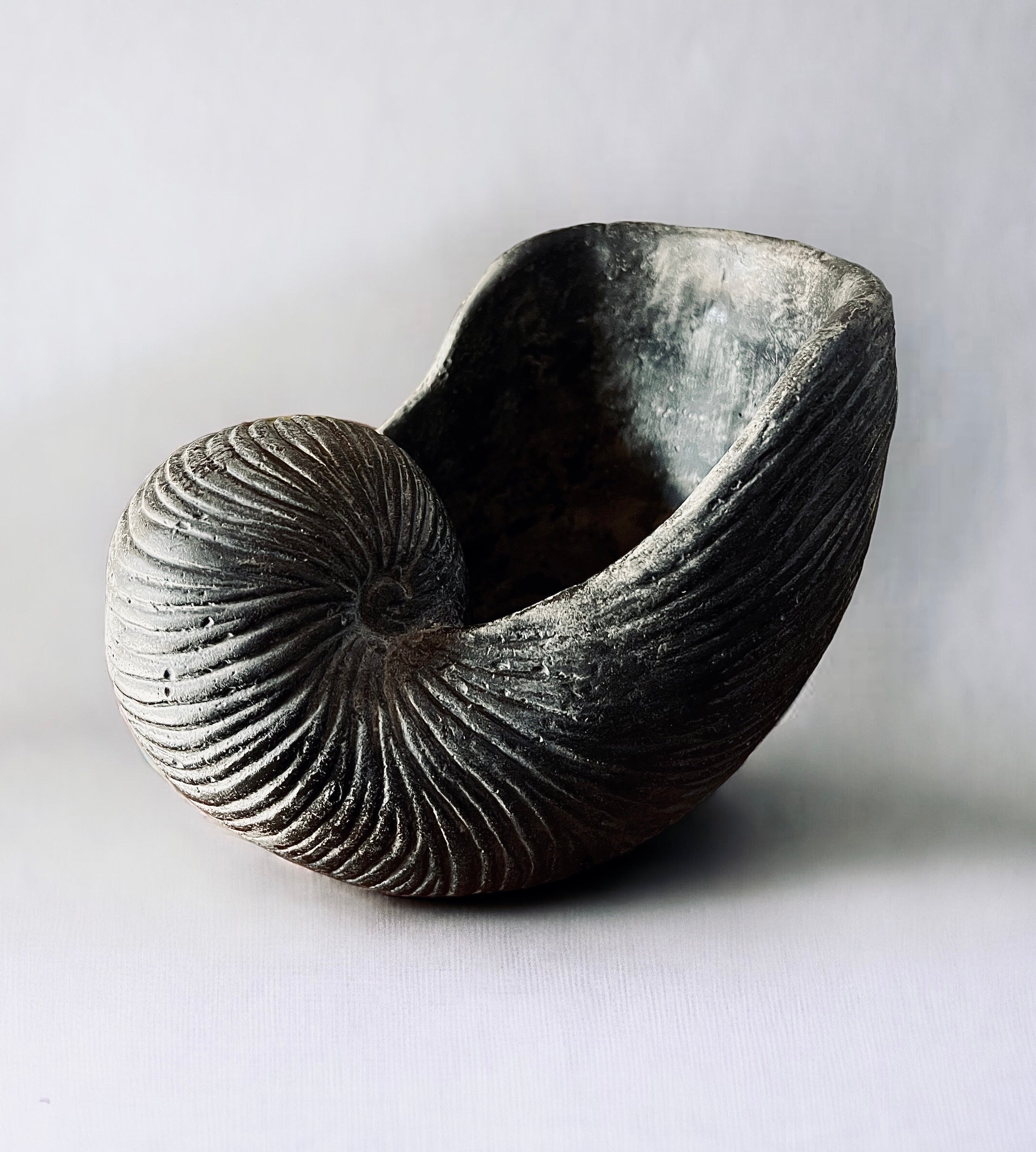 Conch Charcoal Shell (Vintage)