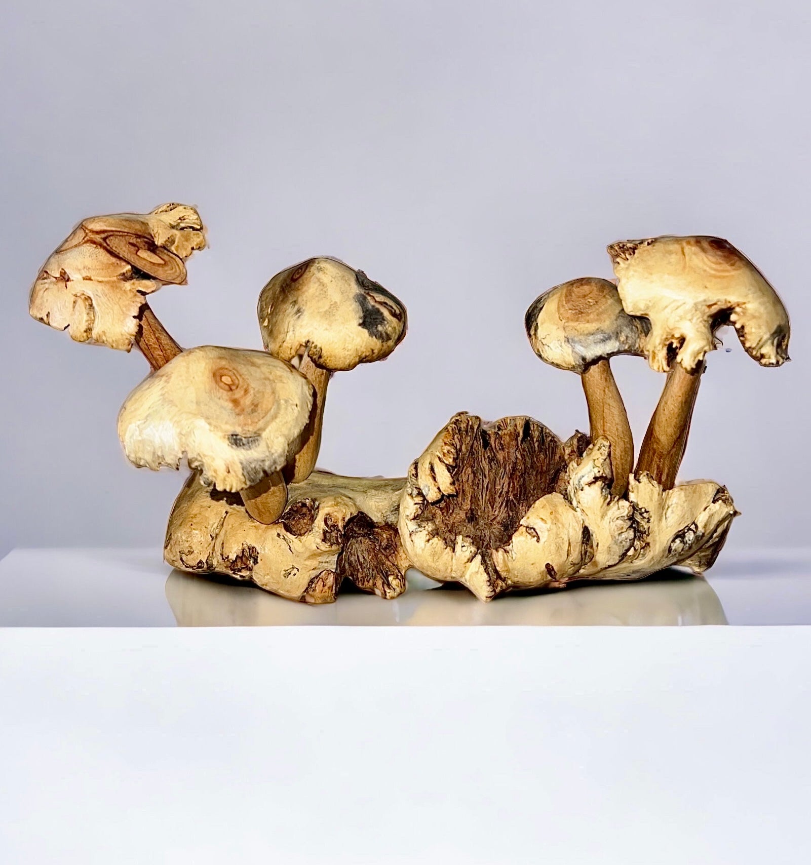 Burl Wood Mushroom 5 Toadstools Sculpture (Vintage)